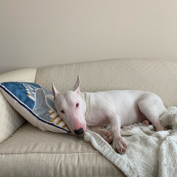 Meet your Posher, Alana - Picture 1 of 1